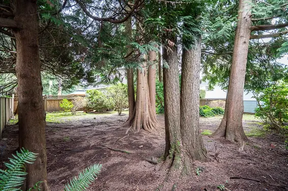 1634 Ross Road, North Vancouver For Sale - image 36