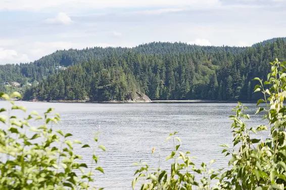 5293 Indian River Drive, North Vancouver For Sale - image 3