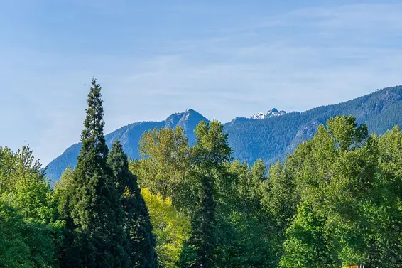 402 733 West 14th Street, North Vancouver For Sale - image 26