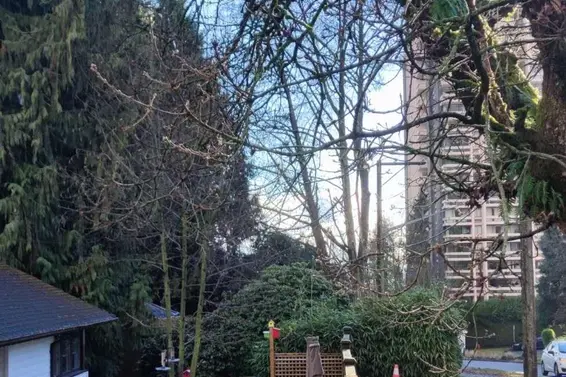 790 15th Street, West Vancouver For Sale - image 4