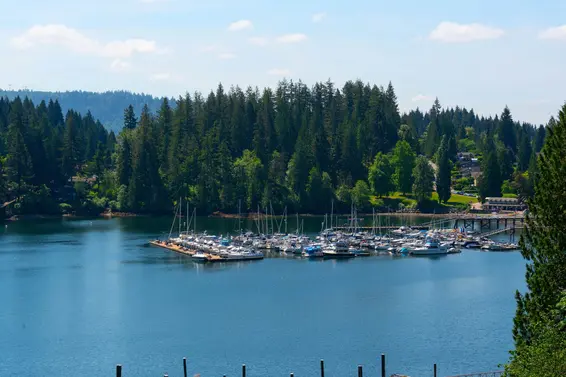 2643 Panorama Drive, North Vancouver For Sale - image 39