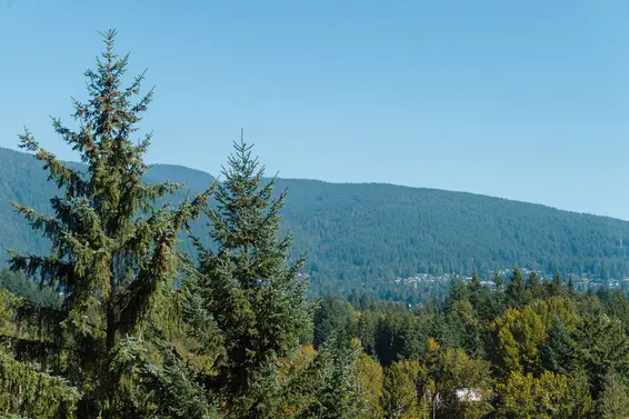 1404 2008 Fullerton Avenue, North Vancouver For Sale - image 36
