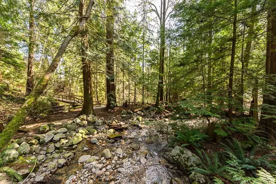 3398 William Avenue, North Vancouver For Sale - image 37