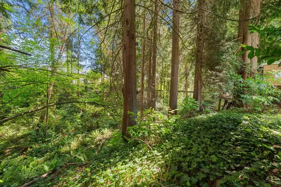 4368 Arundel Road, North Vancouver For Sale - image 28