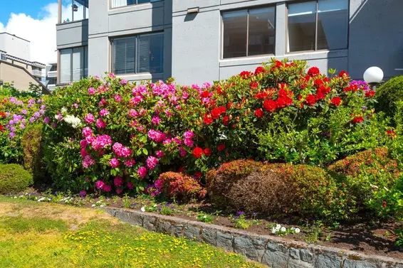 701 1341 Clyde Avenue, West Vancouver For Sale - image 33
