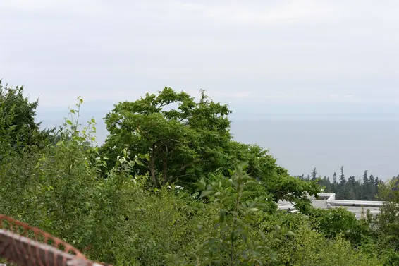 4783 Westwood Place, West Vancouver For Sale - image 30