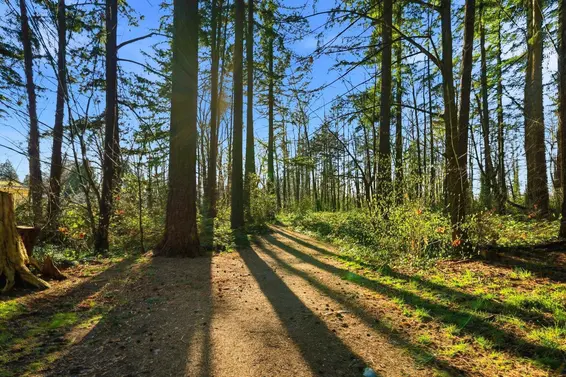 54 433 Seymour River Place, North Vancouver For Sale - image 6