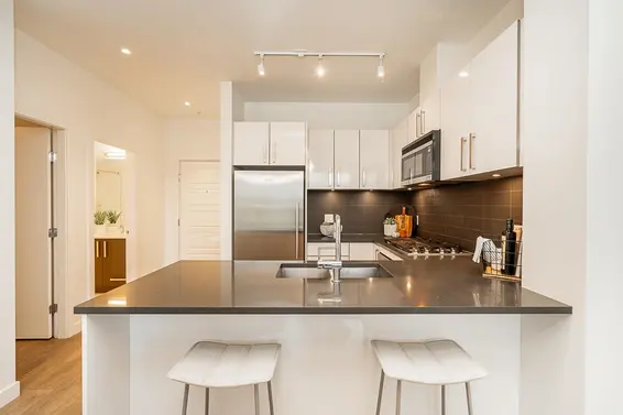 209 105 West 2nd Street, North Vancouver For Sale - image 9
