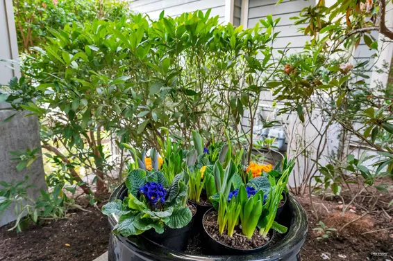 2472 Shadbolt Lane, West Vancouver For Sale - image 27