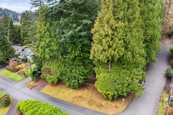 LOT 2 3091 Royal Avenue, North Vancouver For Sale - image 5