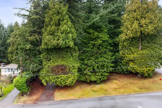 LOT 2 3091 Royal Avenue, North Vancouver For Sale - image 8