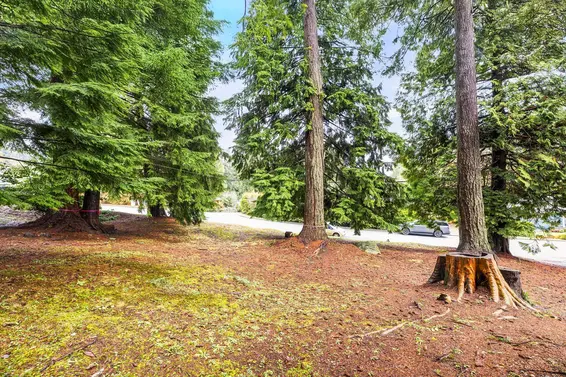 LOT 2 3091 Royal Avenue, North Vancouver For Sale - image 9