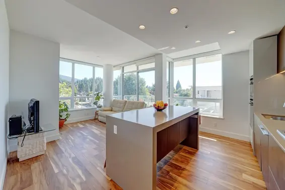 301 1675 Lions Gate Lane, North Vancouver