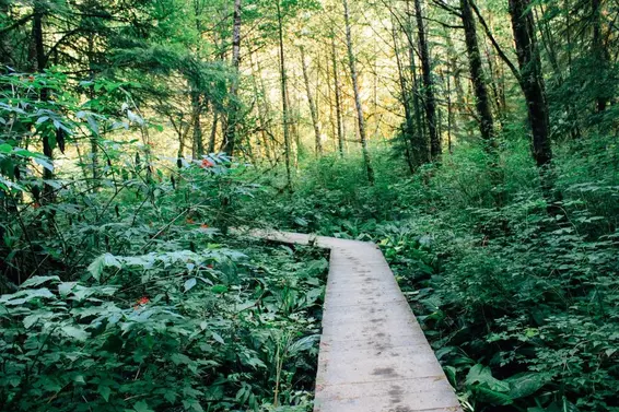 875 Porteau Place, North Vancouver For Sale - image 30