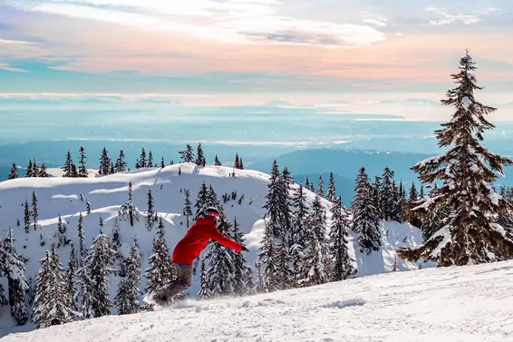 875 Porteau Place, North Vancouver For Sale - image 32