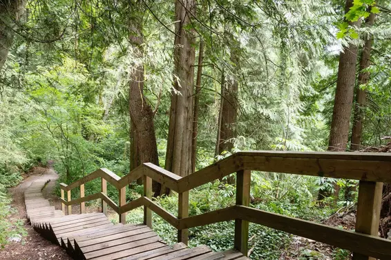 875 Porteau Place, North Vancouver For Sale - image 34