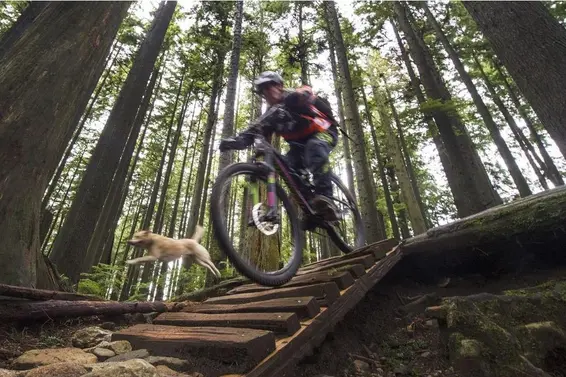 875 Porteau Place, North Vancouver For Sale - image 35