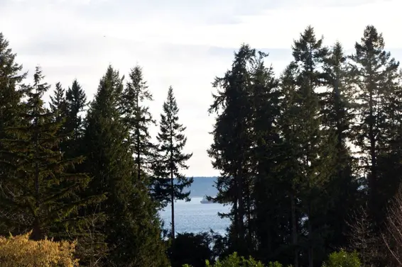 2920 Mathers Avenue, West Vancouver For Sale - image 31