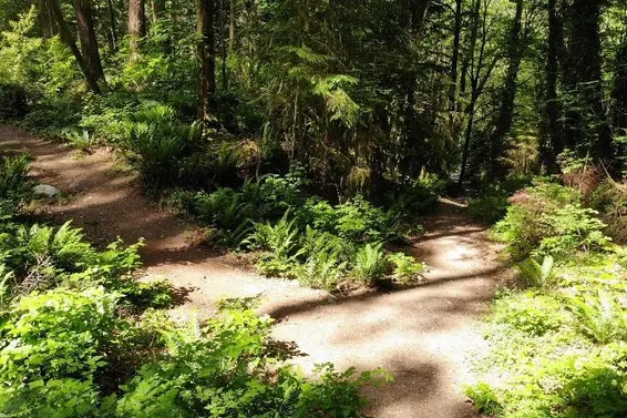 Lot 17 Riverside Drive, North Vancouver For Sale - image 23