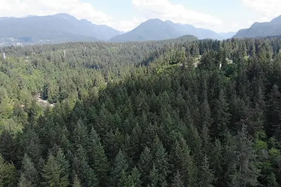 Lot 17 Riverside Drive, North Vancouver For Sale - image 25