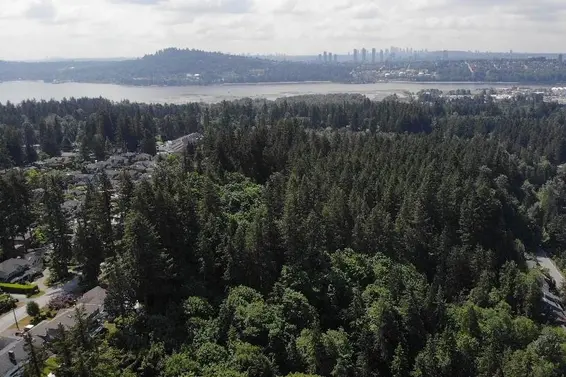 Lot 17 Riverside Drive, North Vancouver For Sale - image 31