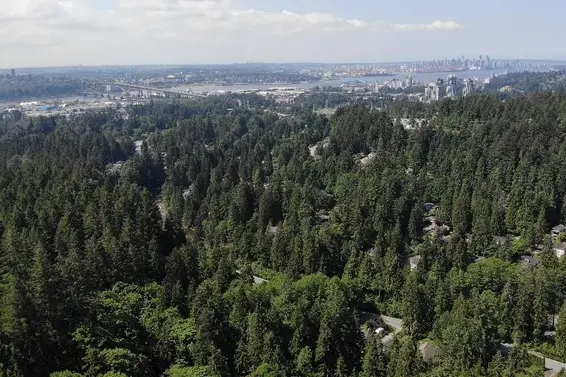 Lot 17 Riverside Drive, North Vancouver For Sale - image 33