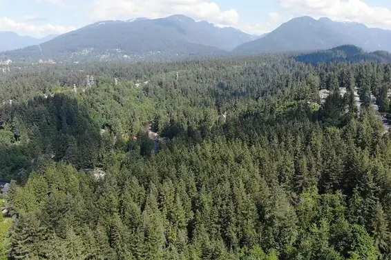 Lot 17 Riverside Drive, North Vancouver For Sale - image 34