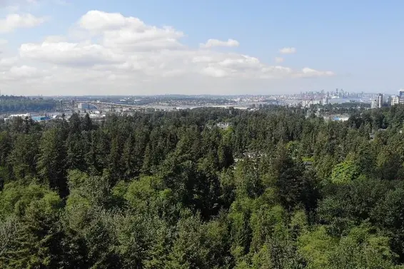 Lot 17 Riverside Drive, North Vancouver For Sale - image 35