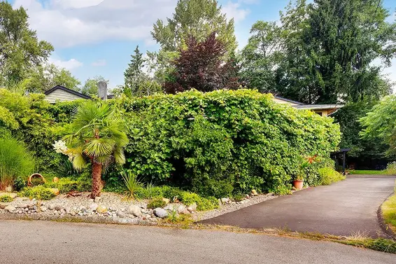 1240 Eastview Road, North Vancouver For Sale - image 36