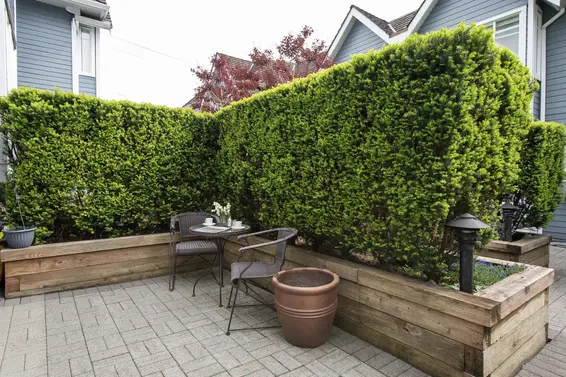 279 East 5th Street, North Vancouver For Sale - image 16