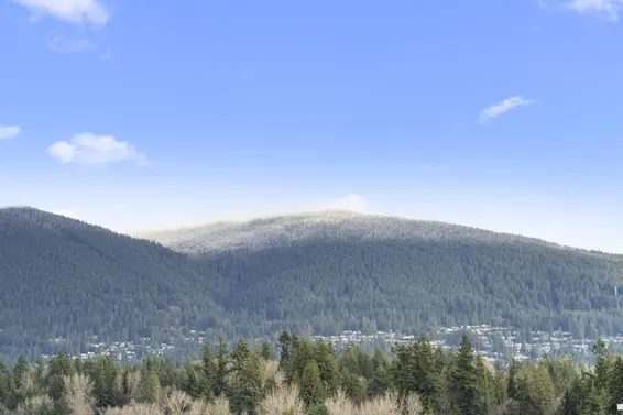 1003 200 Klahanie Court, West Vancouver For Sale - image 20