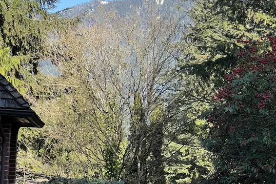 895 Elveden Row, West Vancouver For Sale - image 38