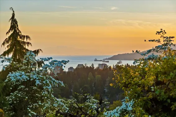 982 Braeside Street, West Vancouver For Sale - image 21