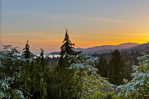 982 Braeside Street, West Vancouver For Sale - image 23