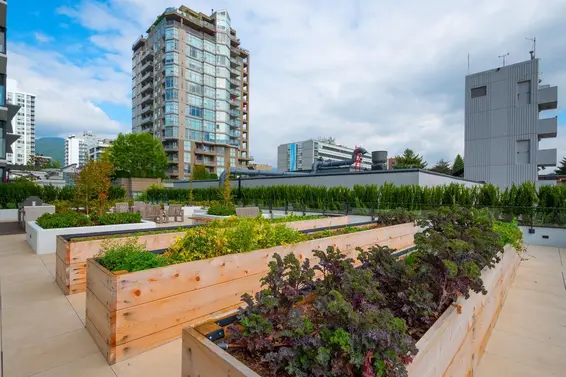804 135 East 13th Street, North Vancouver For Sale - image 31