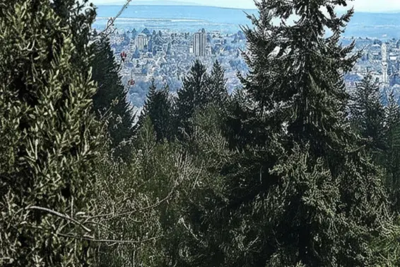 3973 Braemar Place, North Vancouver For Sale - image 23