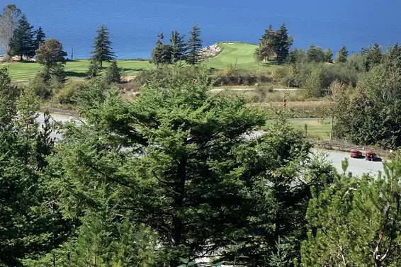 700 Ocean Crest Drive, Furry Creek For Sale - image 22