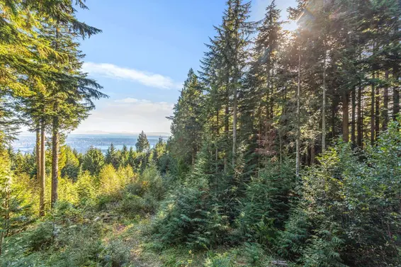 1C Hollyburn Ridge, West Vancouver For Sale - image 20