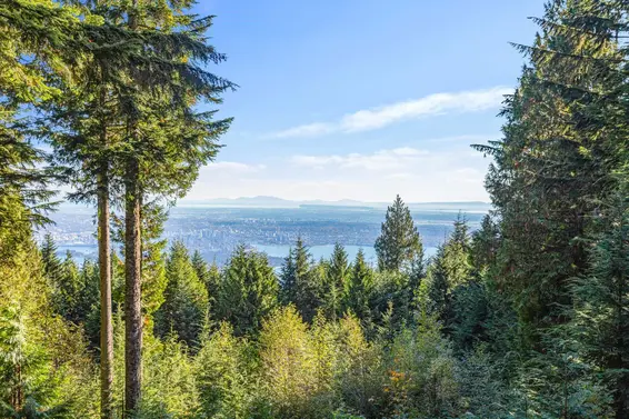1C Hollyburn Ridge, West Vancouver For Sale - image 21