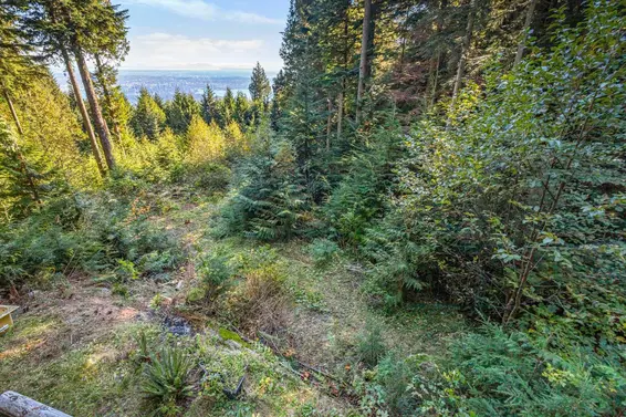 1C Hollyburn Ridge, West Vancouver For Sale - image 23