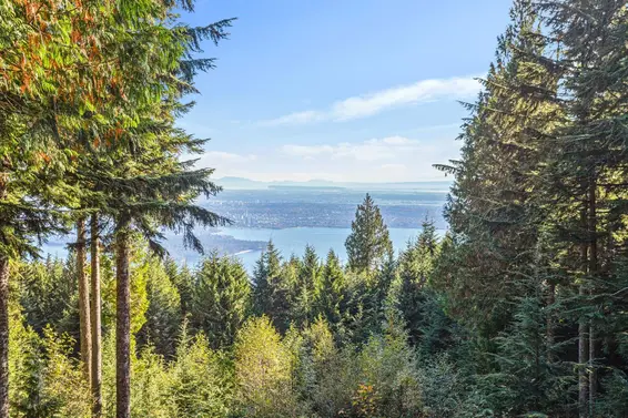 1C Hollyburn Ridge, West Vancouver For Sale - image 32