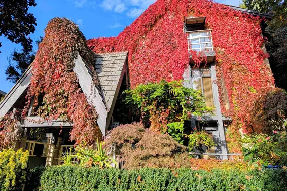 4 328 East 2nd Street, North Vancouver For Sale - image 34