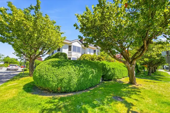 305 East 17th Street, North Vancouver For Sale - image 39