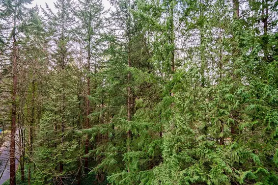 608 2004 Fullerton Avenue, North Vancouver For Sale - image 33