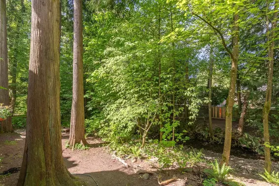 110 3275 Mountain Highway, North Vancouver For Sale - image 28