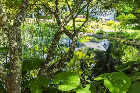 6980 Odlum Court, West Vancouver For Sale - image 7