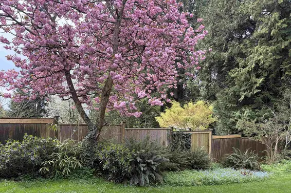 3039 St. Georges Avenue, North Vancouver For Sale - image 34