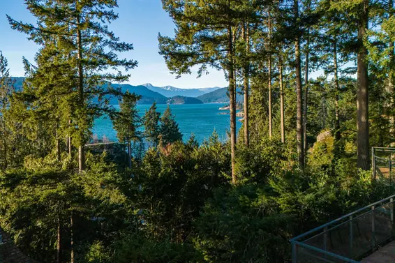 5290 Gulf Place, West Vancouver For Sale - image 36