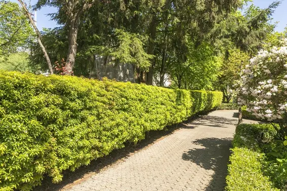 3184 Mountain Highway, North Vancouver For Sale - image 22