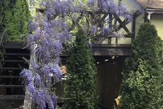 5692 Marine Drive, West Vancouver For Sale - image 7